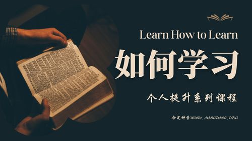 【课程】- 如何学习（11）- 《重新塑造自己的逻辑体系》